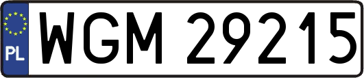 WGM29215