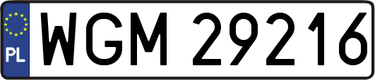 WGM29216