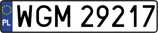 WGM29217