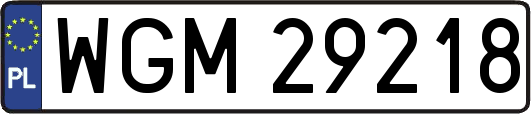 WGM29218