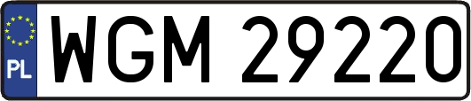 WGM29220