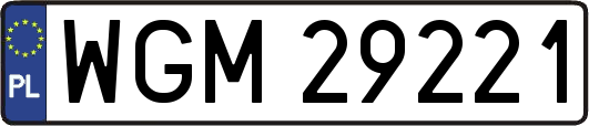 WGM29221