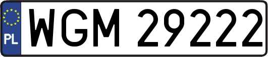 WGM29222
