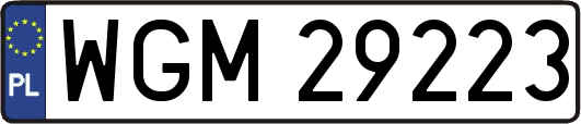 WGM29223