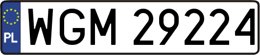 WGM29224