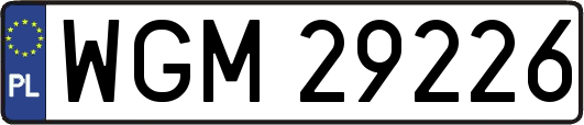 WGM29226
