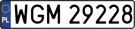WGM29228