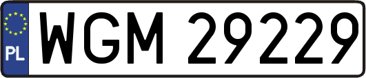 WGM29229