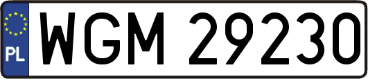 WGM29230