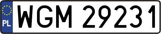 WGM29231