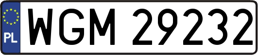 WGM29232