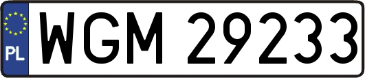 WGM29233