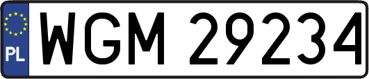WGM29234