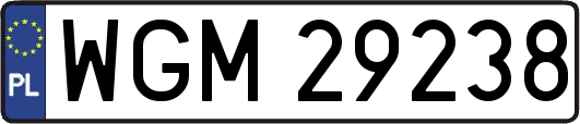 WGM29238