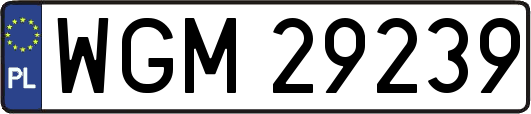 WGM29239