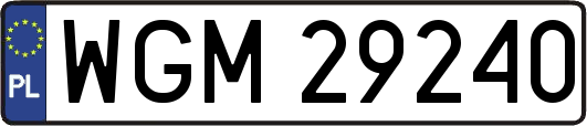 WGM29240