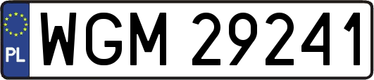 WGM29241