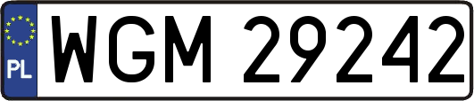 WGM29242