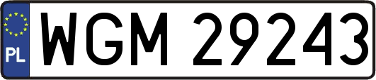 WGM29243