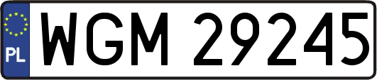 WGM29245