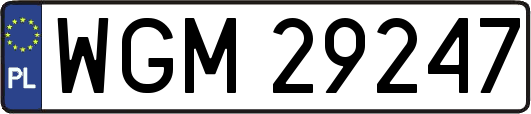 WGM29247
