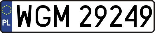 WGM29249