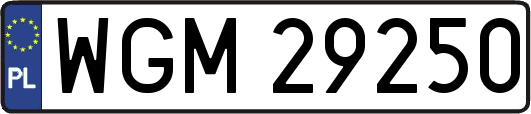 WGM29250
