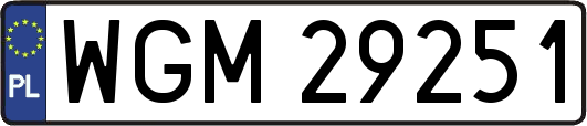 WGM29251