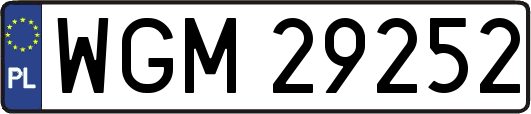 WGM29252
