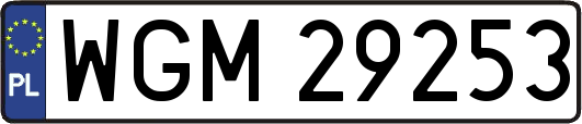 WGM29253
