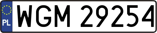 WGM29254