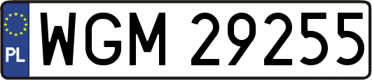 WGM29255