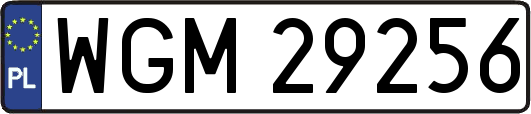 WGM29256