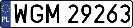 WGM29263