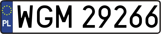 WGM29266