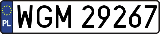 WGM29267