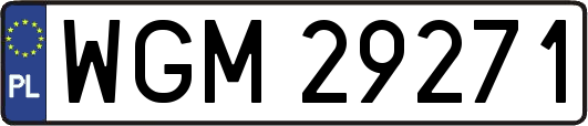 WGM29271