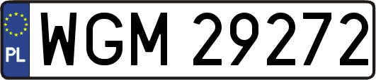 WGM29272