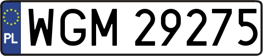WGM29275