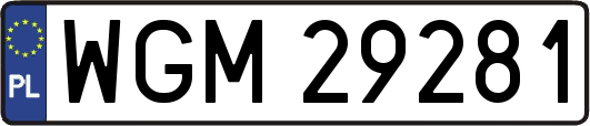 WGM29281