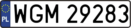 WGM29283