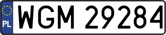 WGM29284