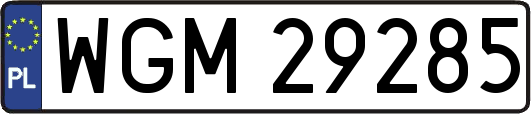 WGM29285