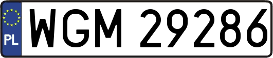 WGM29286