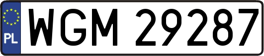 WGM29287