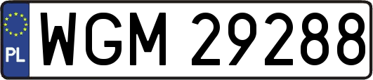 WGM29288