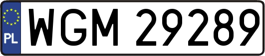 WGM29289