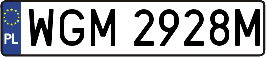 WGM2928M