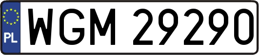 WGM29290