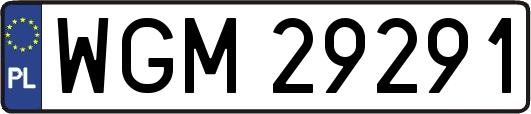 WGM29291